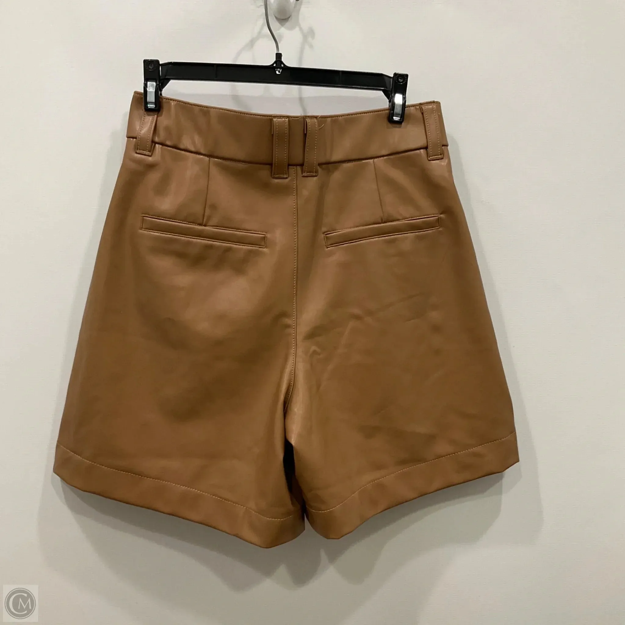 Shorts By Abercrombie And Fitch In Brown, Size: S