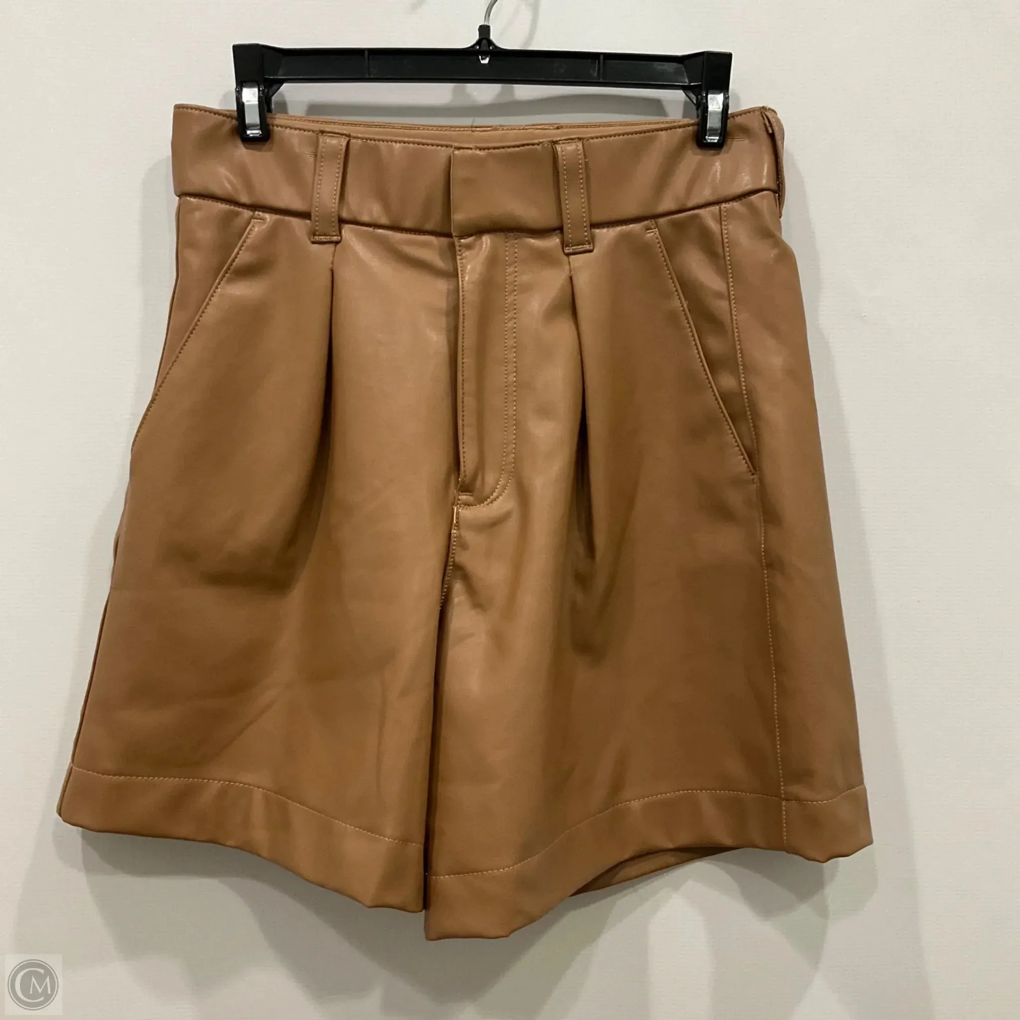 Shorts By Abercrombie And Fitch In Brown, Size: S