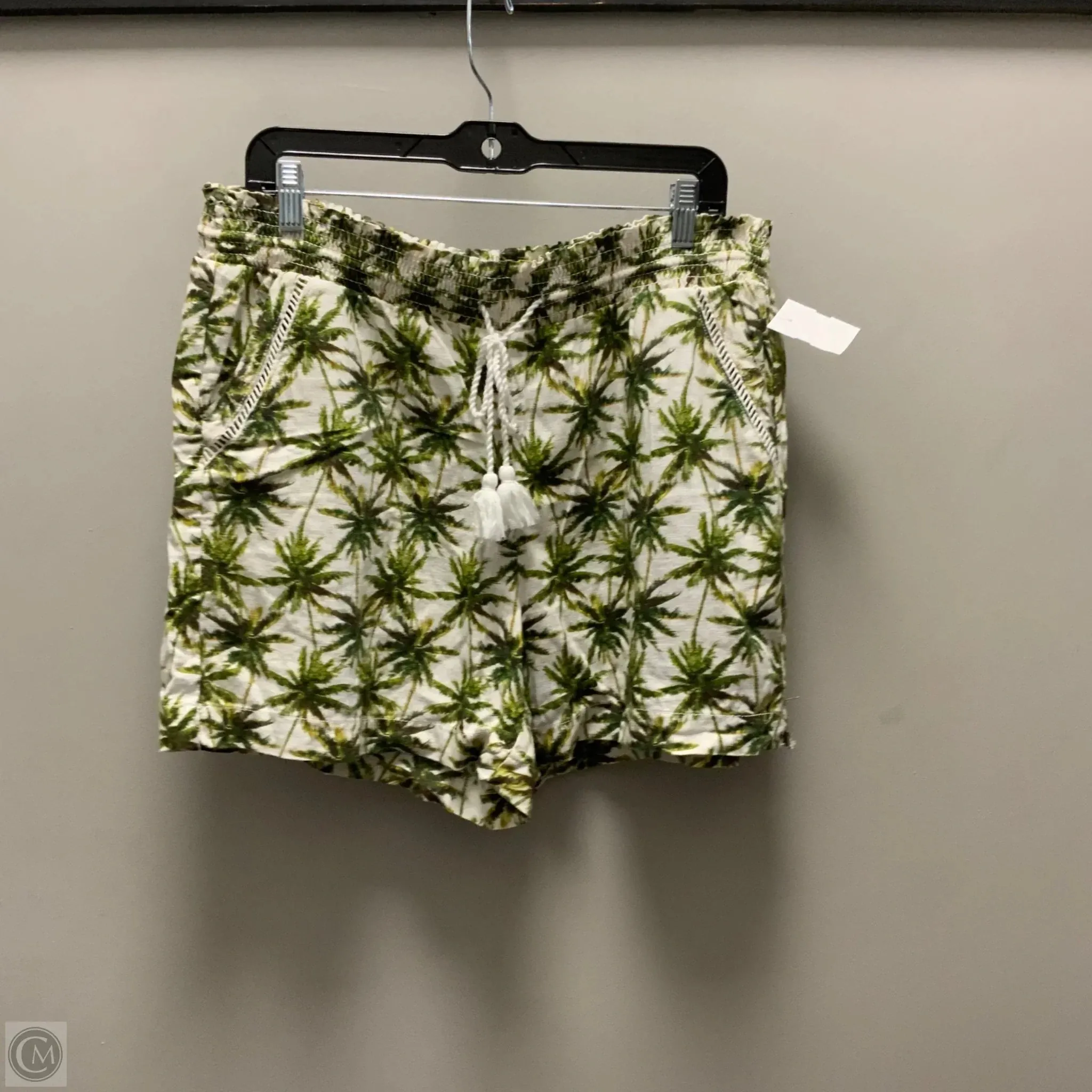 Shorts By Briggs In Green, Size: Xl