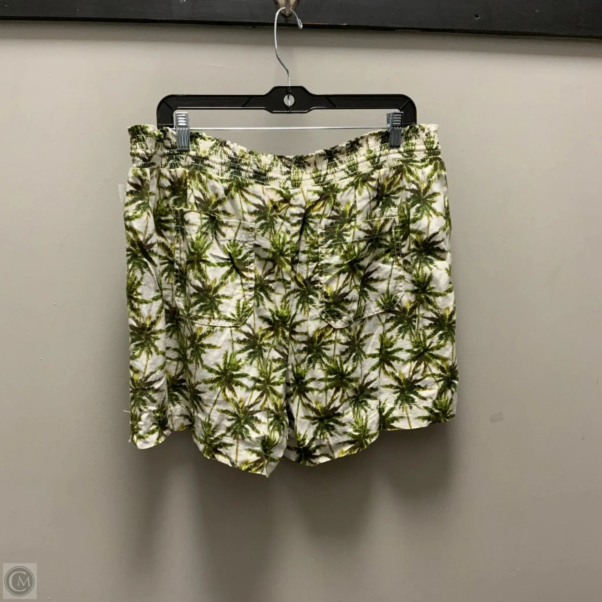 Shorts By Briggs In Green, Size: Xl