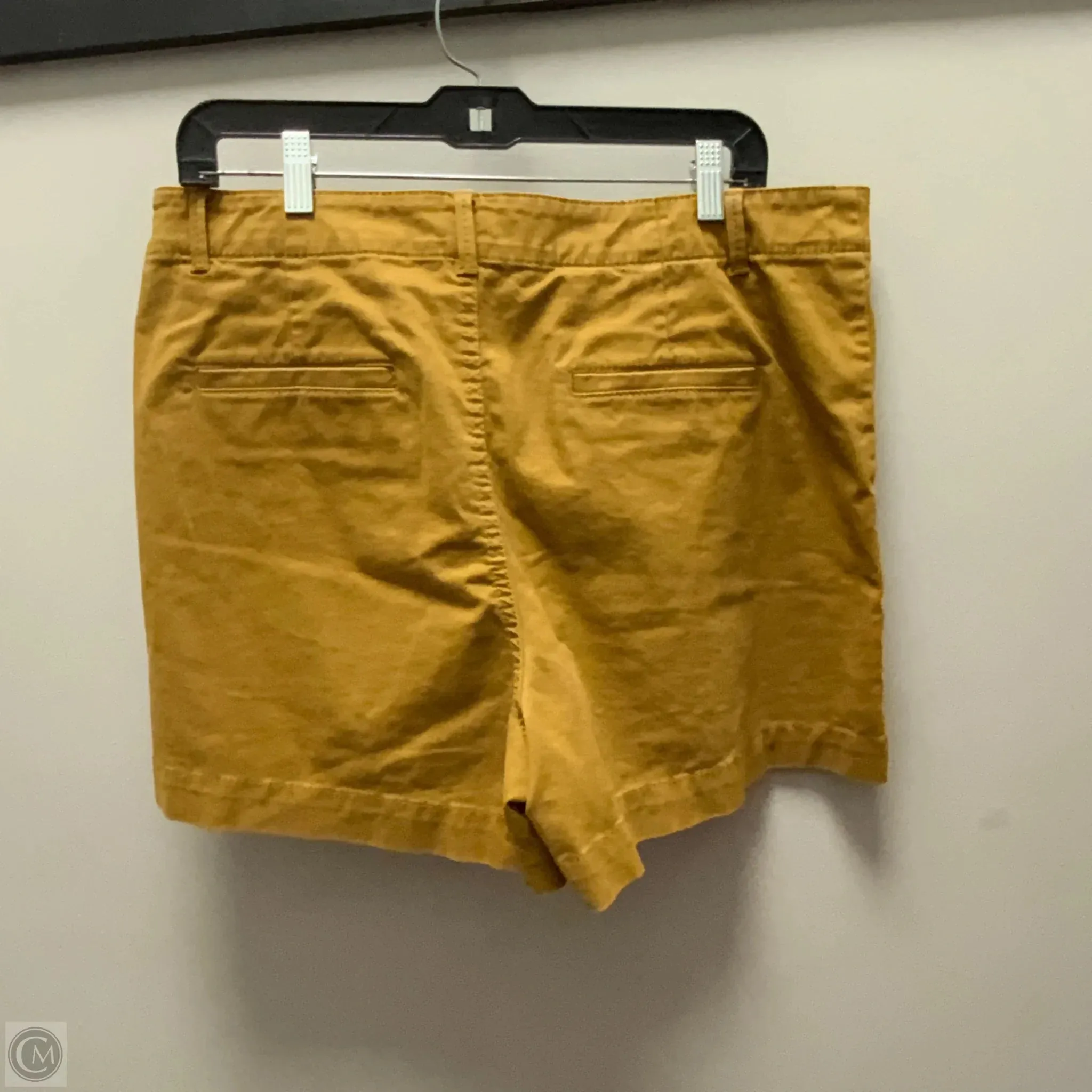Shorts By Loft In Brown, Size: 14