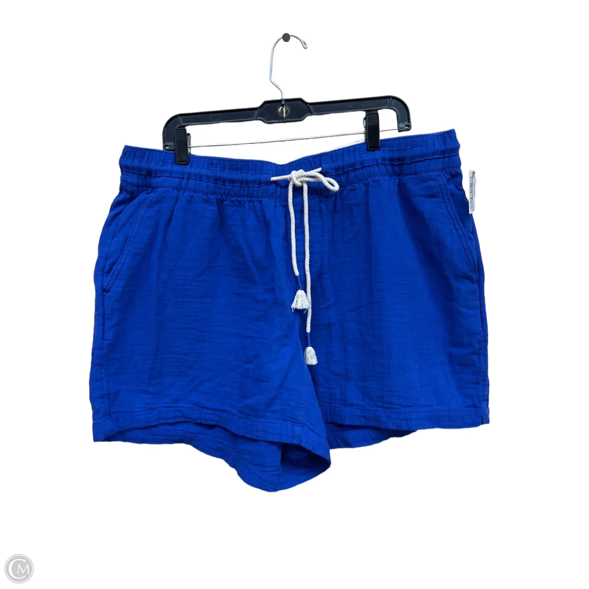 Shorts By Old Navy In Blue, Size: 2x
