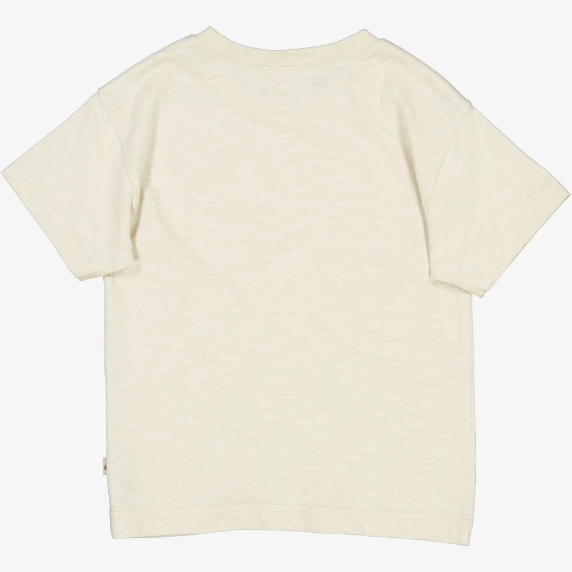 T-Shirt Fishskeleton - chalk Wheat