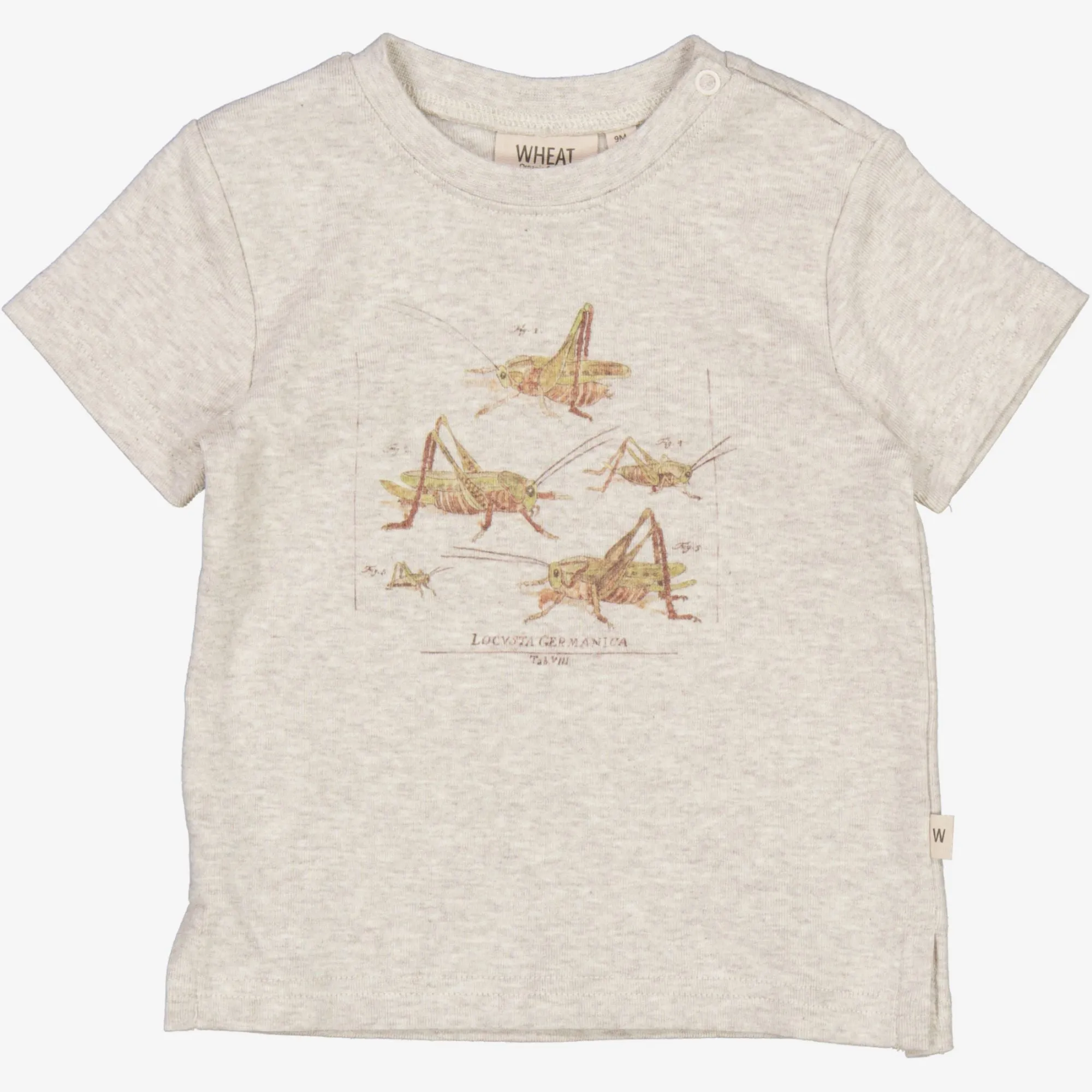 T-Shirt Grasshoppers | Baby - fossil melange Wheat