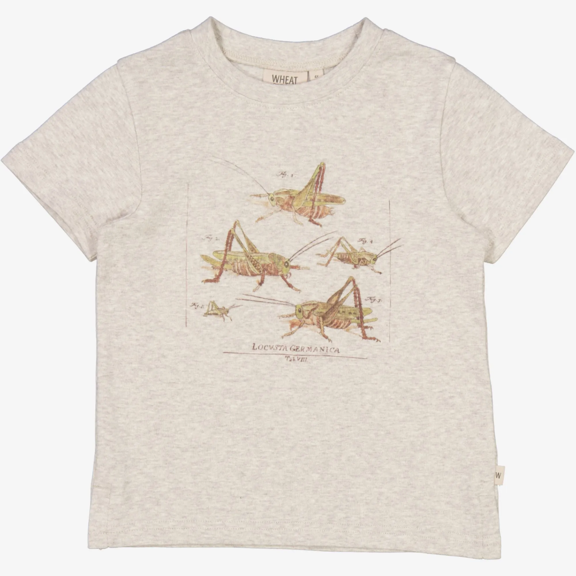T-Shirt Grasshoppers - fossil melange Wheat