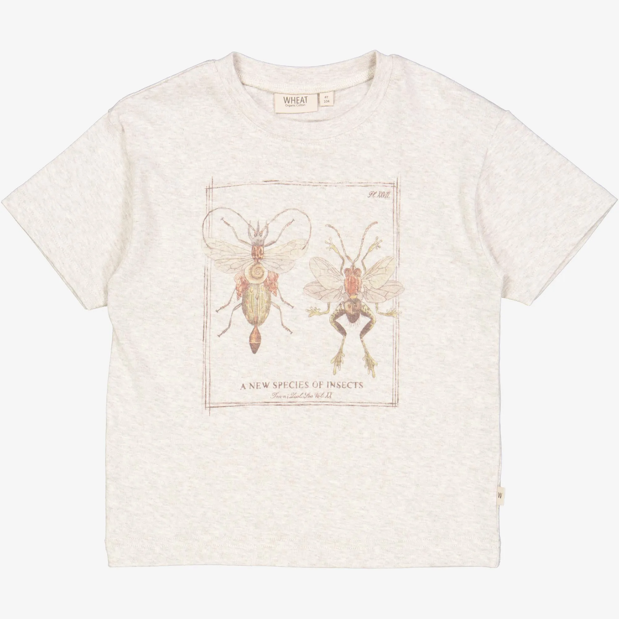 T-Shirt New Species - fossil melange Wheat