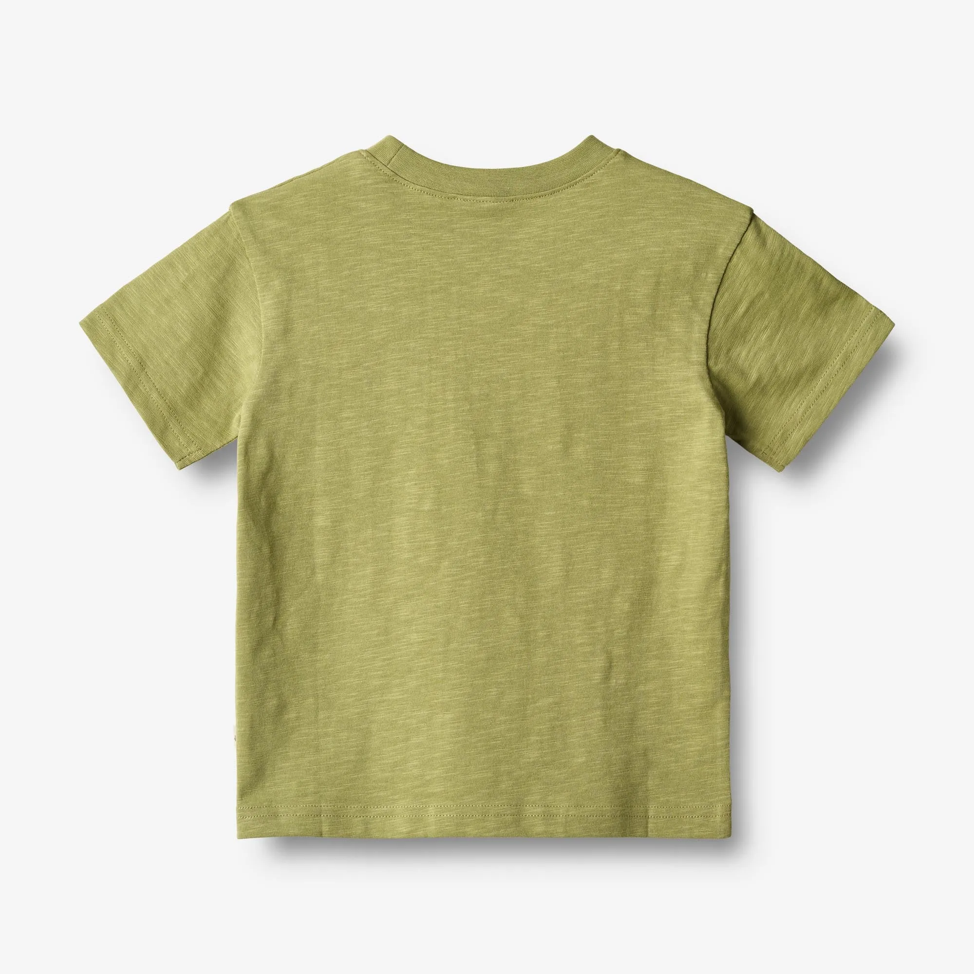 T-Shirt S/S Dines - sage Wheat